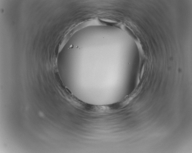 X0000069830429200606021341