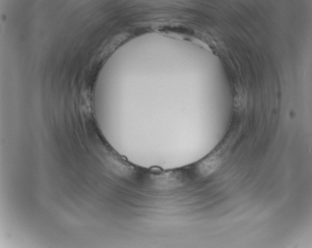 X0000069830430200606021341