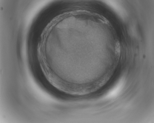 X0000069830431200606021341