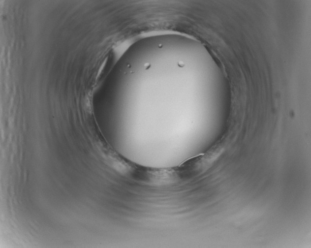 X0000069830432200606021341