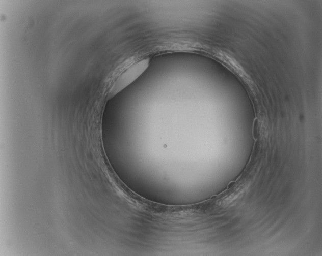 X0000069830433200606021340