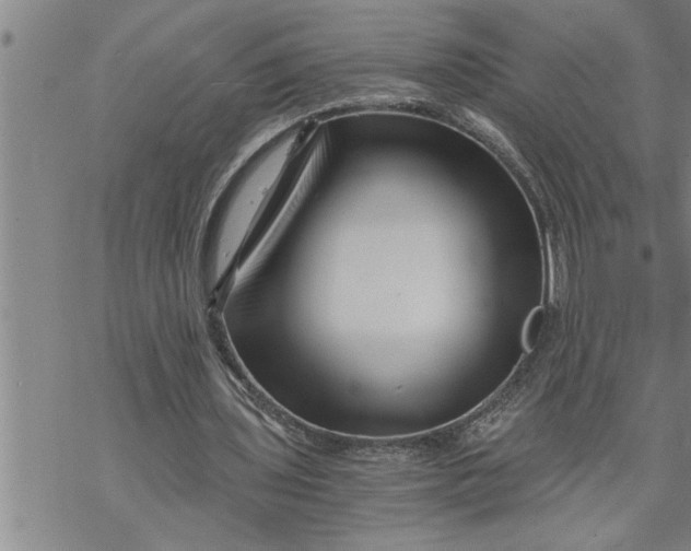 X0000069830435200606021340