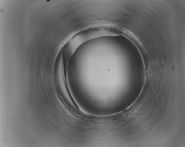 X0000069830436200606021340