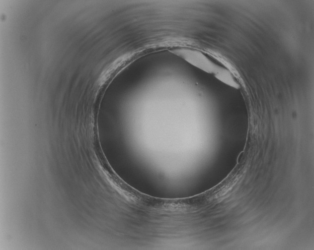 X0000069830437200606021340