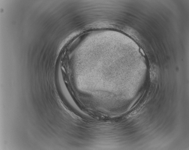 X0000069830438200606021340