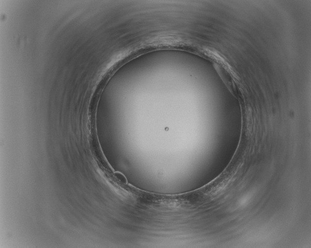 X0000069830439200606021340