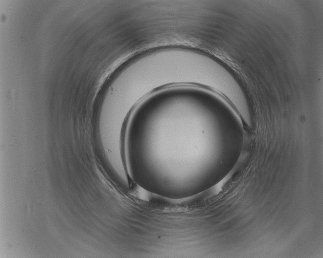 X0000069830440200606021340