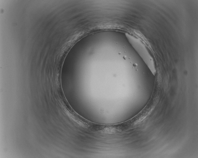 X0000069830441200606021340