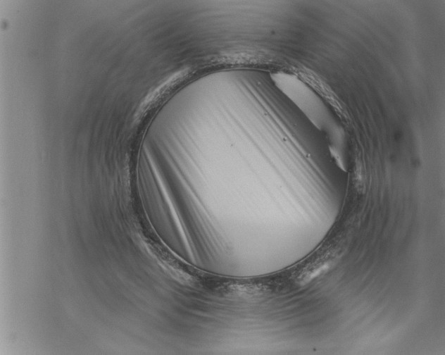 X0000069830442200606021340