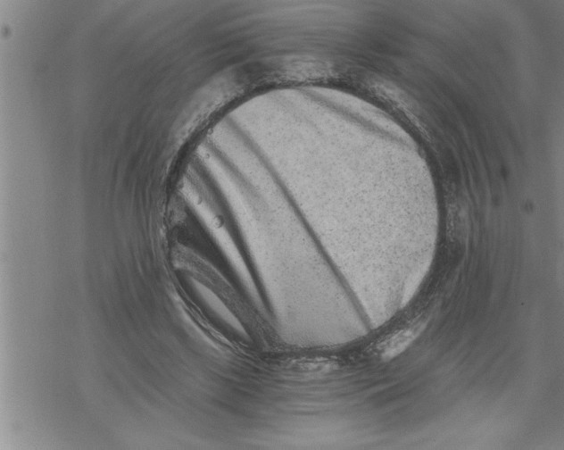 X0000069830443200606021340