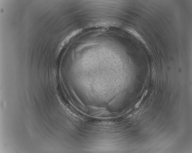 X0000069830444200606021340