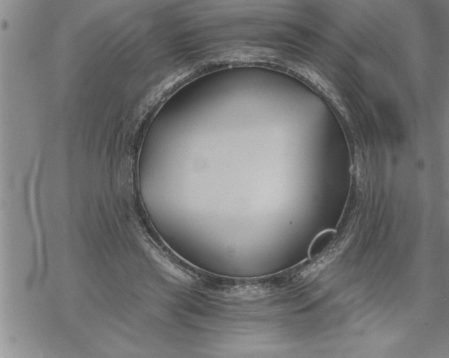 X0000069830445200606021340