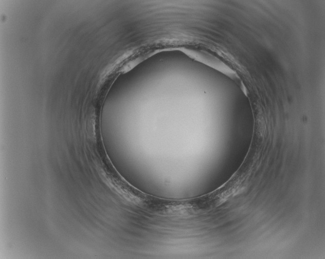 X0000069830446200606021340