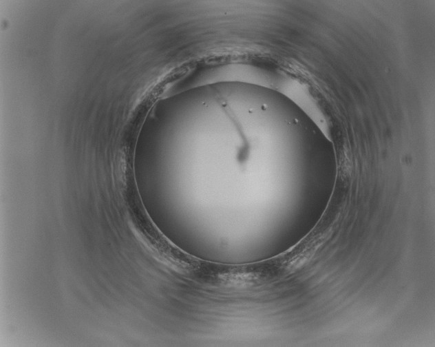 X0000069830448200606021340