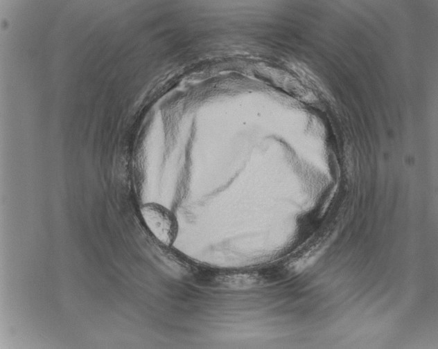 X0000069830449200606021340