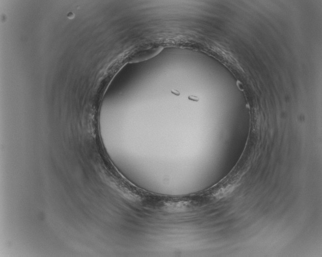 X0000069830450200606021340