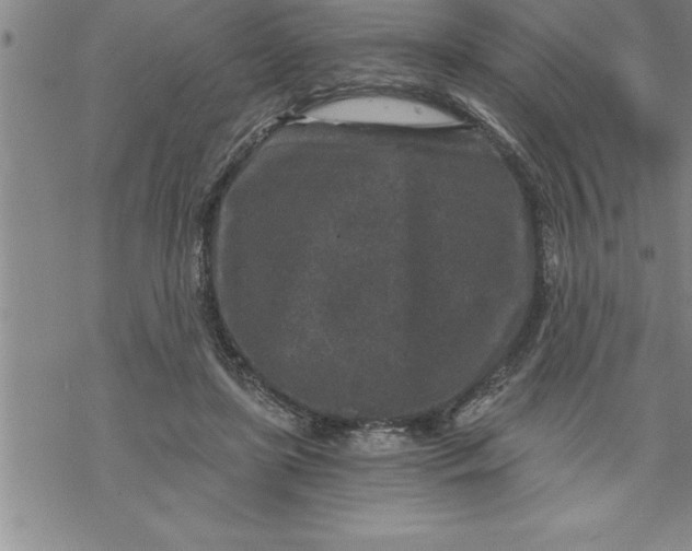 X0000069830451200606021340