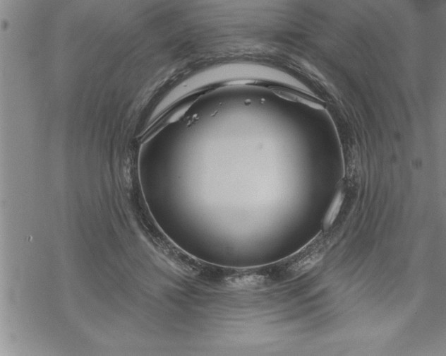 X0000069830452200606021340