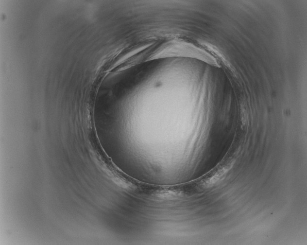 X0000069830453200606021340