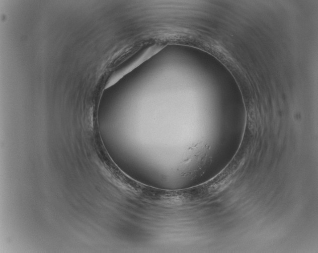 X0000069830454200606021340