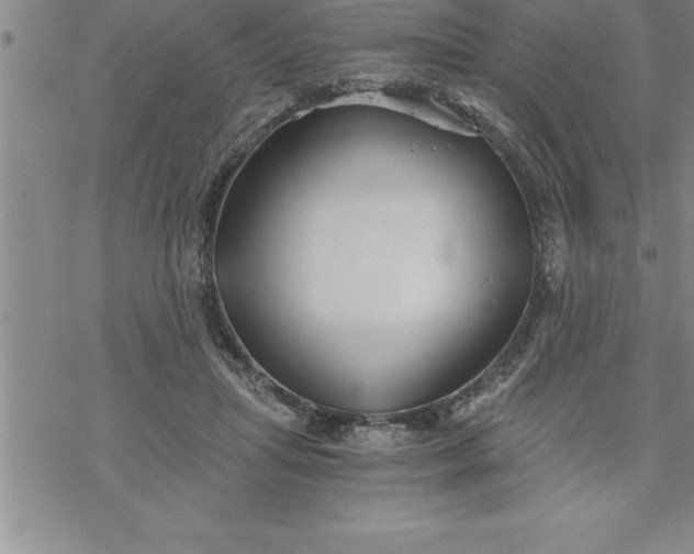 X0000069830455200606021340