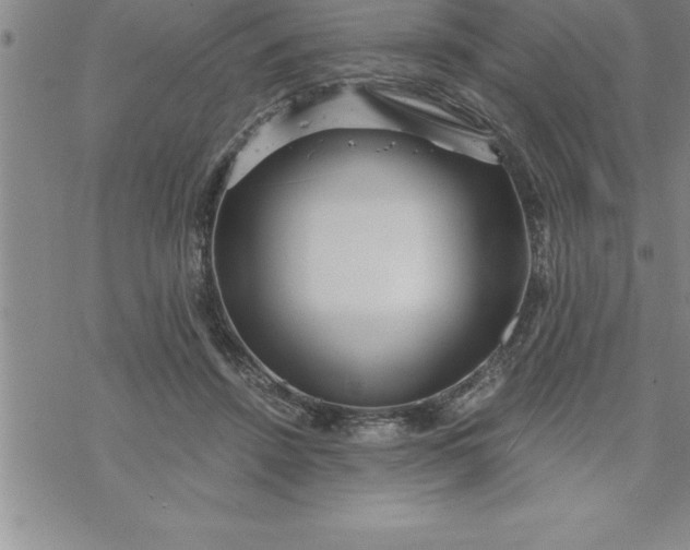 X0000069830456200606021341