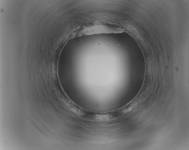 X0000069830457200606021341