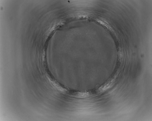 X0000069830458200606021341