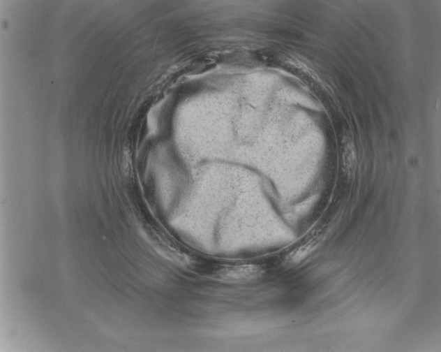 X0000069830459200606021341