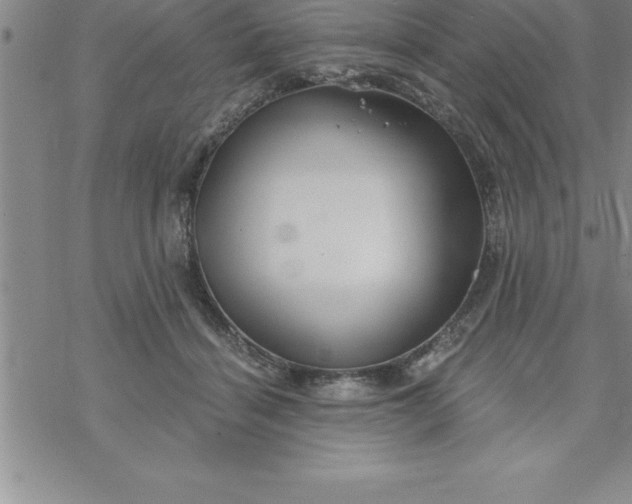 X0000069830460200606021341