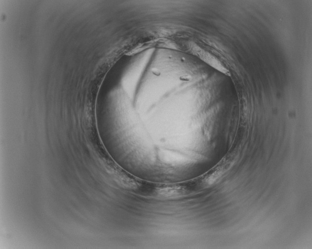 X0000069830461200606021341