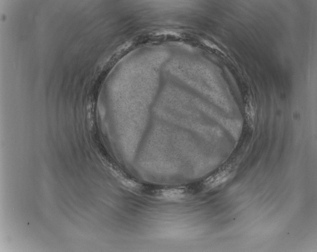 X0000069830462200606021341