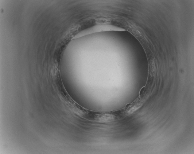 X0000069830463200606021341