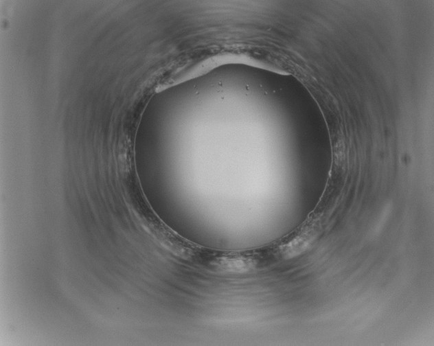 X0000069830464200606021341