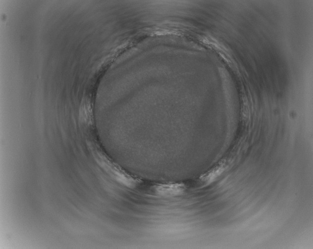 X0000069830465200606021341