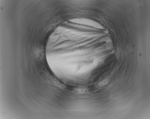 X0000069830466200606021341