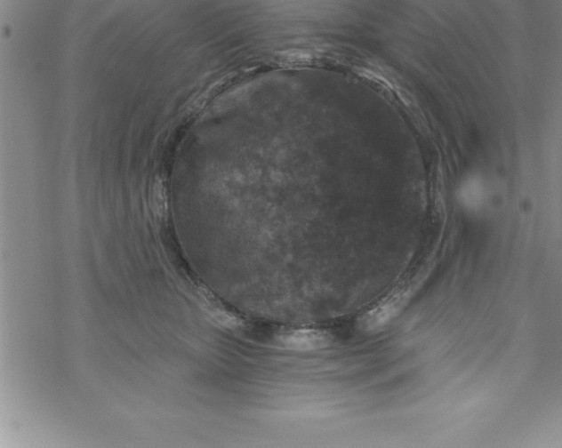 X0000069830467200606021341