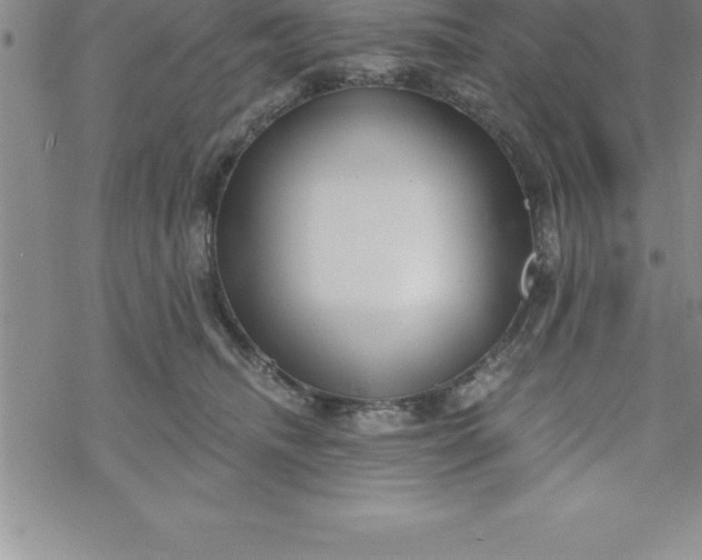 X0000069830468200606021341