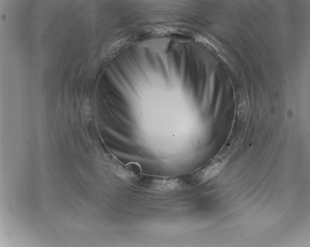 X0000069830469200606021341