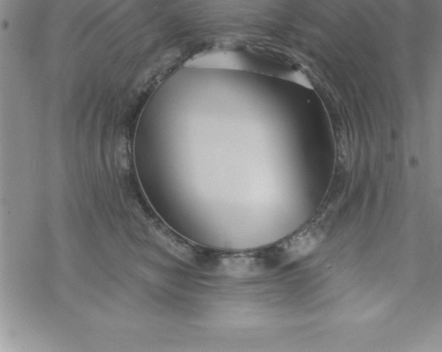 X0000069830470200606021341