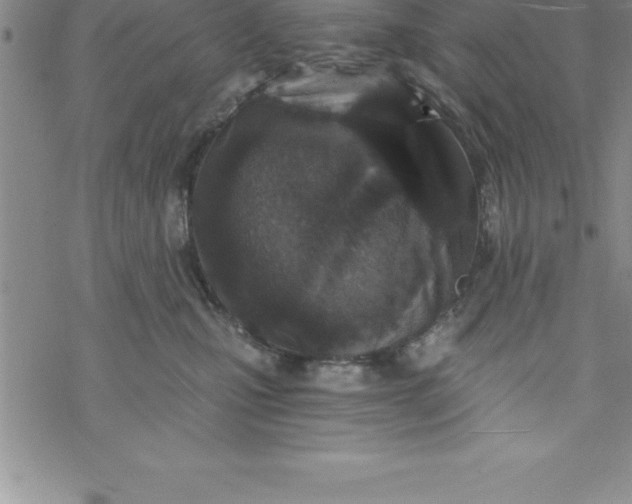 X0000069830471200606021341