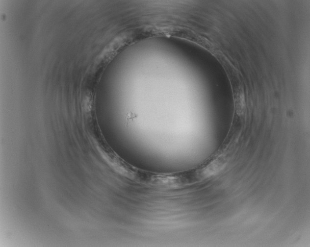 X0000069830472200606021341