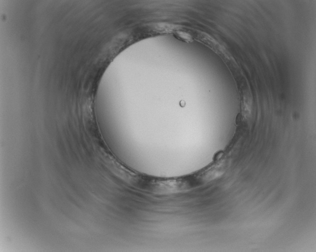 X0000069830473200606021341