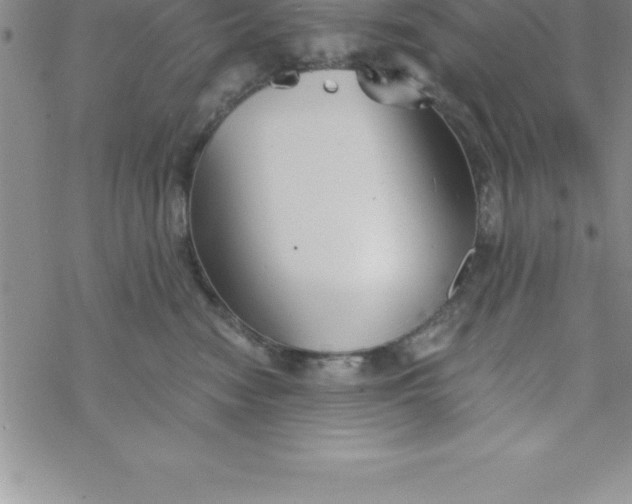 X0000069830474200606021341