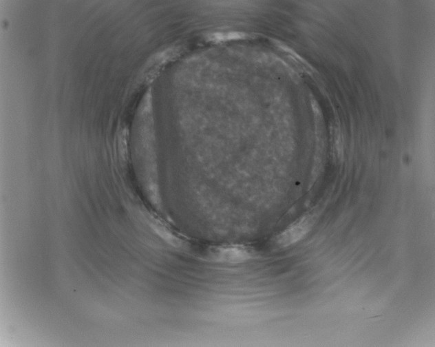 X0000069830475200606021341