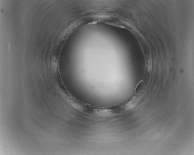 X0000069830476200606021341