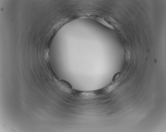 X0000069830477200606021341