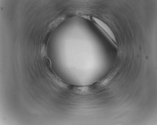 X0000069830478200606021341