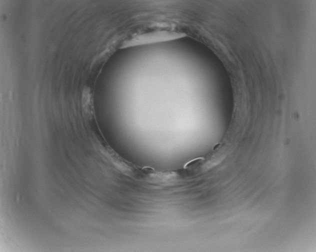 X0000069830480200606021341