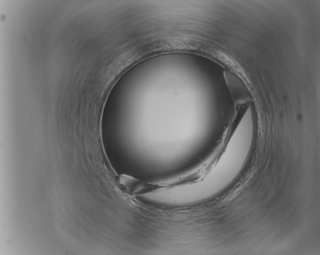 X0000069830481200606021340